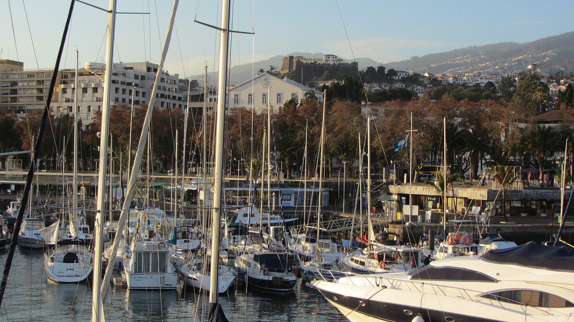 Die Marina von Funchal