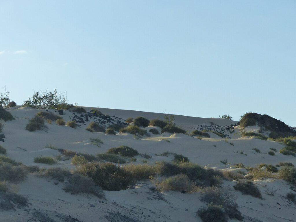Fuerteventura: Insel-Guide Dünen von Corralejo bei Sonnenuntergang