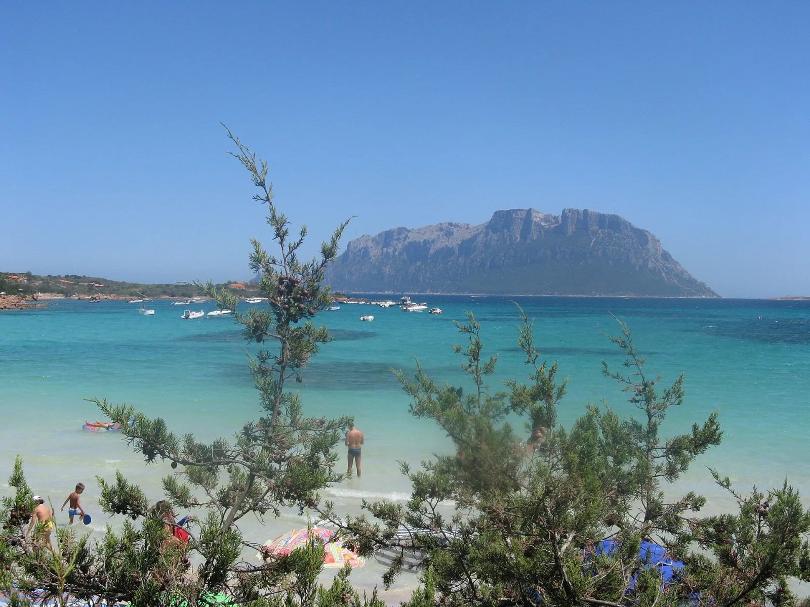 Olbia (Sardinien) Küste bei Olbia auf Sardinien in der Sonne