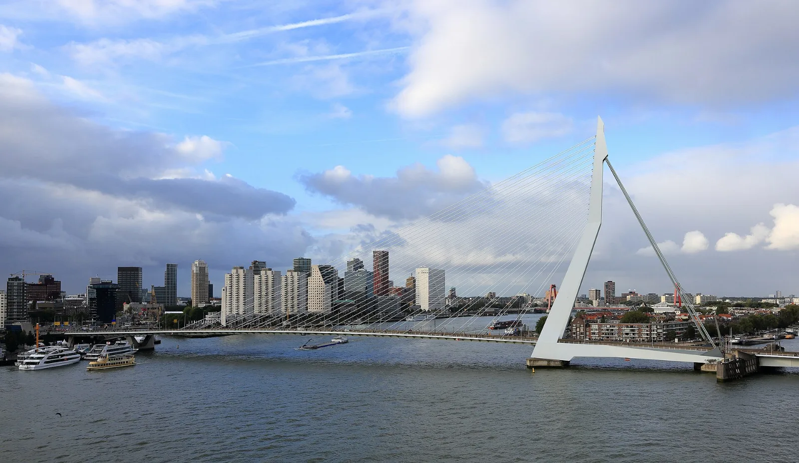 Rotterdam Erasmusbrücke in Rotterdam