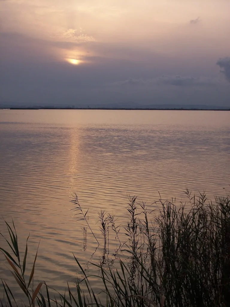 Valencia Albufera in Valencia